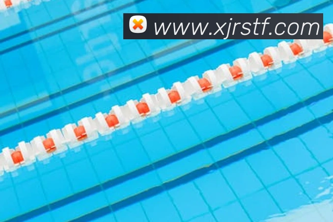 k1体育官方网站登录入口APP 封面图
